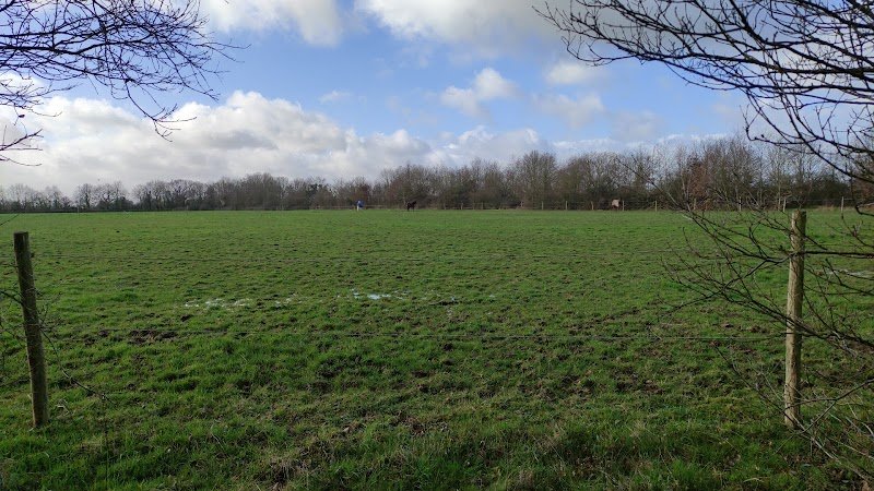 Domaine équestre des Bouillères - photo 2