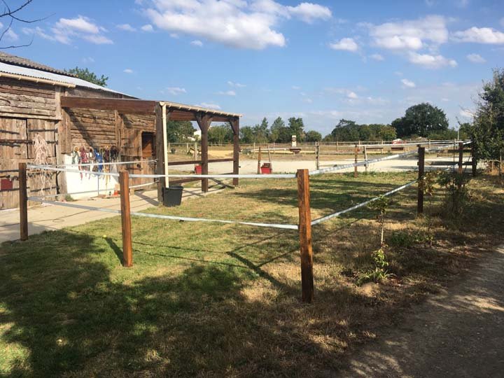 Pension Équine - Écurie Van Der Bild - photo 2