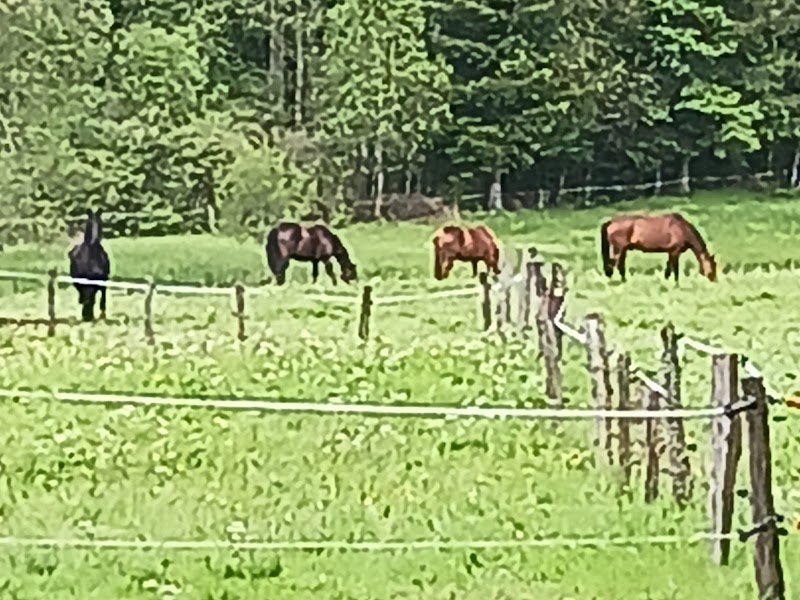 Les écuries du faing Henry - photo 1