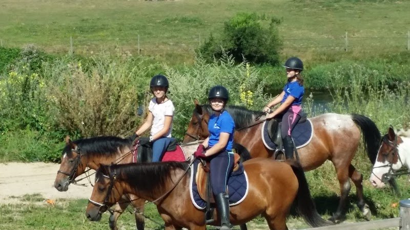 Ecuries du Saut des Vosges - photo 2