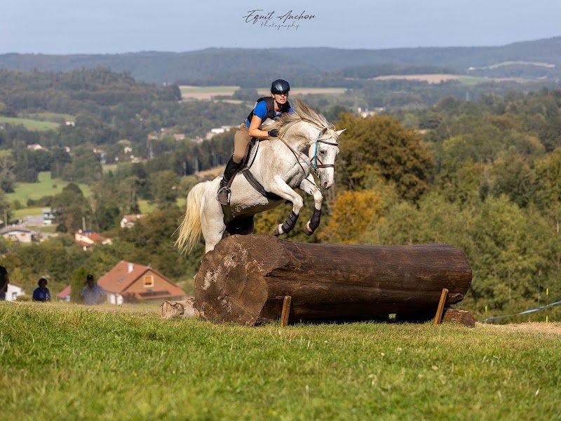 Ecuries du Saut des Vosges - photo 3