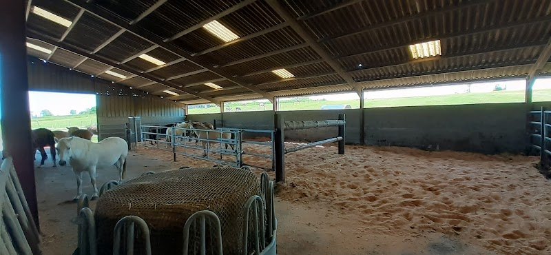 Pension Du Grosillon - photo 2