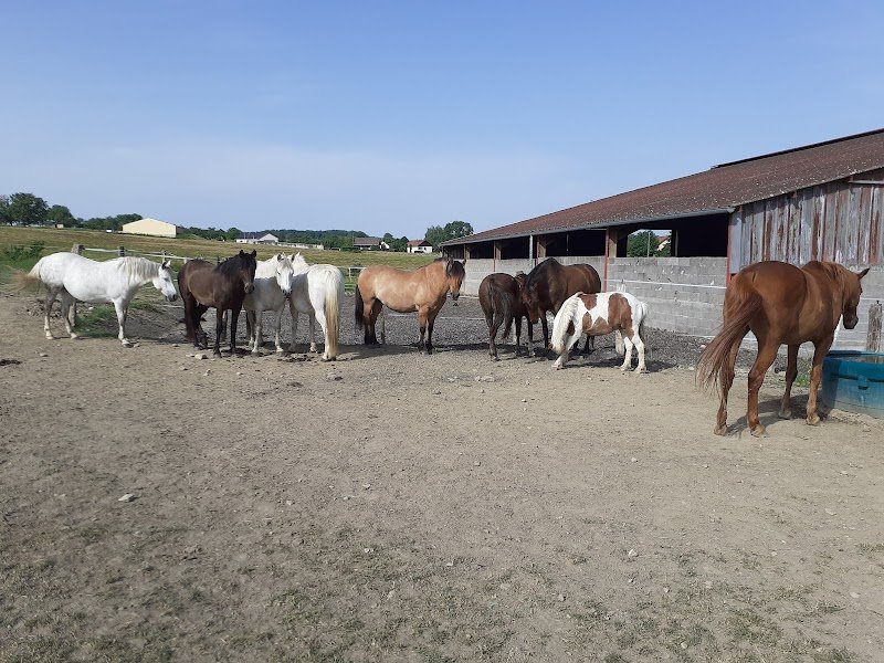Pension Du Grosillon - photo 3