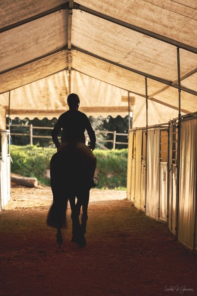 DEM - Domaine Équestre de Monnières - photo 1