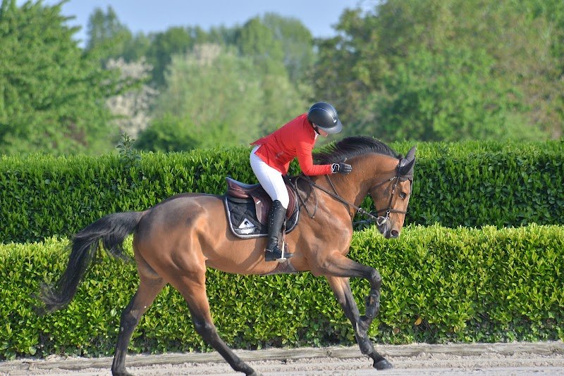 DEM - Domaine Équestre de Monnières - photo 2