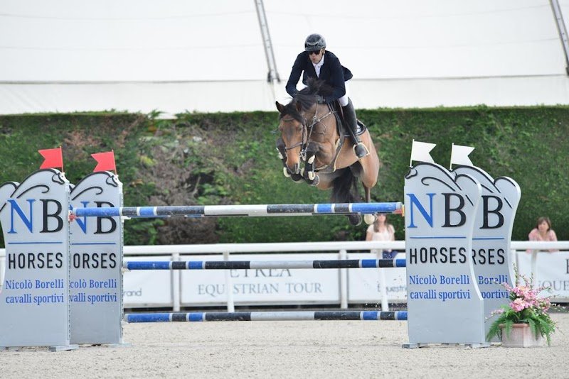 DEM - Domaine Équestre de Monnières - photo 3