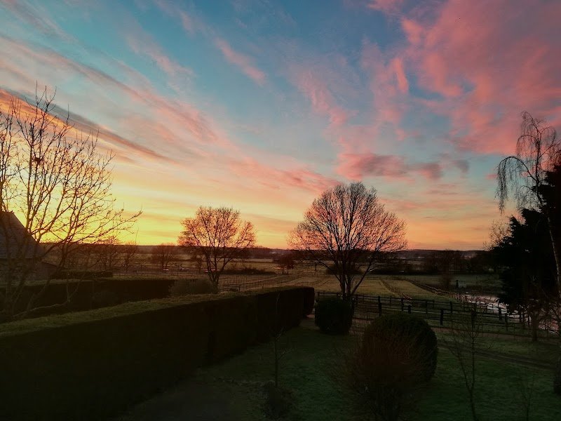 Les Ecuries de la Maison Neuve SARL - photo 2