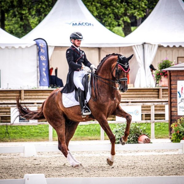 Ecurie CG Dressage - photo 2