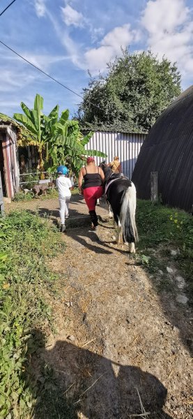 Les Ecuries de Dammartin - photo 2