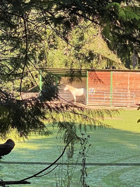 Ecurie Domaine la Barre - photo 3