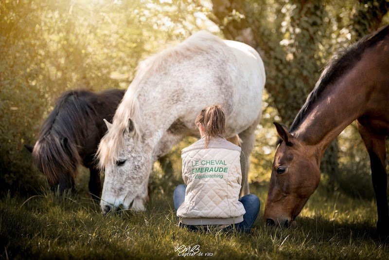 Le Cheval Emeraude - photo 1