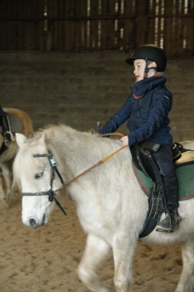 Le Cheval Emeraude - photo 2