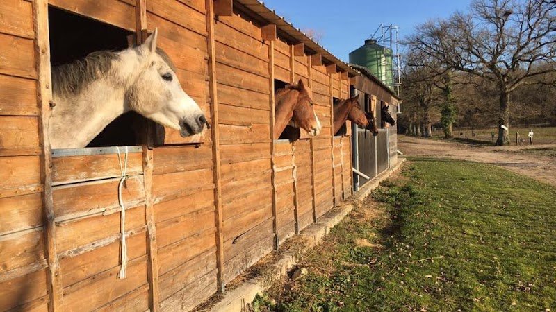 Ecurie WA/Poney Club de Vinauger - photo 1