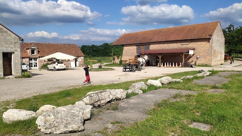 Ecurie WA/Poney Club de Vinauger - photo 2