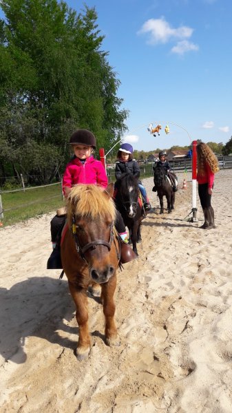 Ecurie WA/Poney Club de Vinauger - photo 3