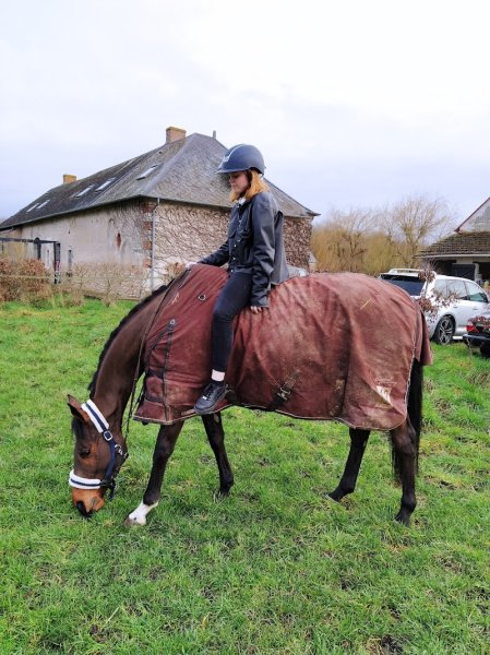 Ecurie Du Petit Gautray SCEA - photo 1