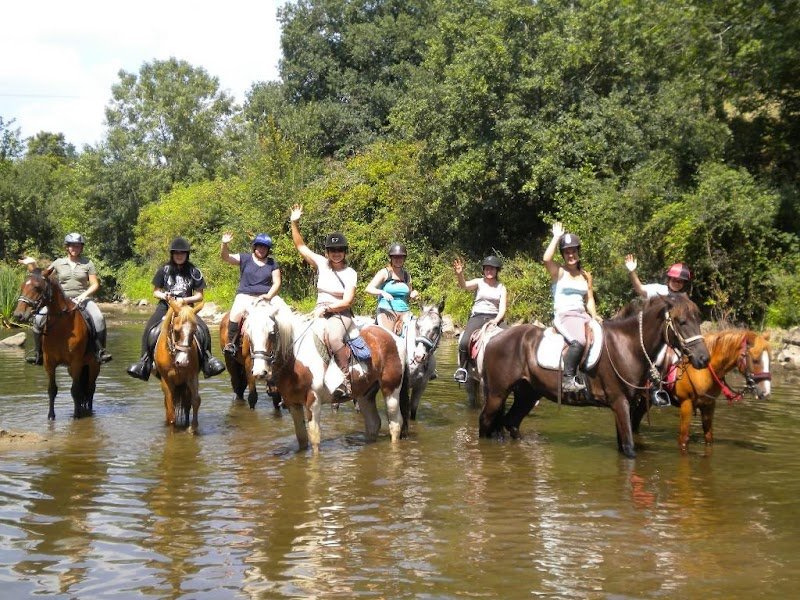 Ecuries de la Boissière - photo 2