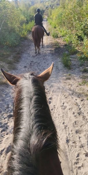 Les Écuries de la Boissière - photo 1