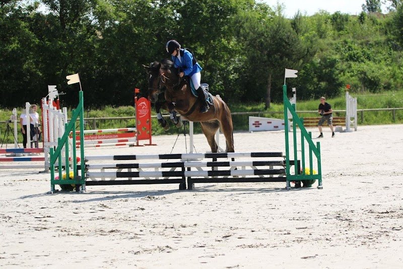 Les Écuries de la Boissière - photo 2