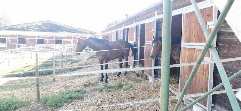 Écurie des Ecots - photo 2