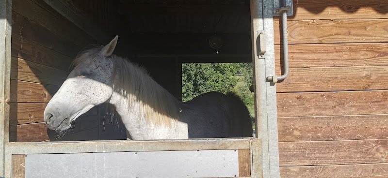 Écurie des Ecots - photo 3