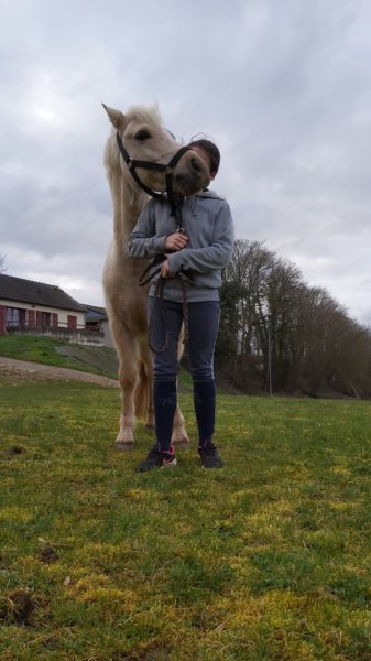 Les écuries de trangy - photo 2