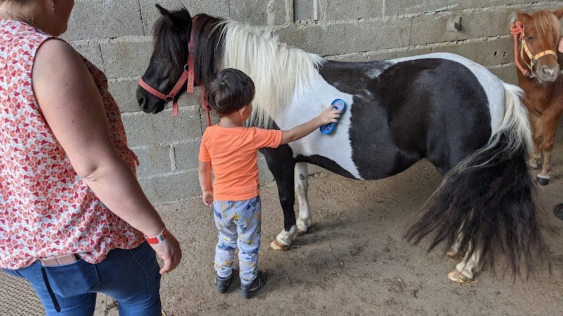 CENTRE EQUESTRE LA ROSE DES VENTS - photo 2