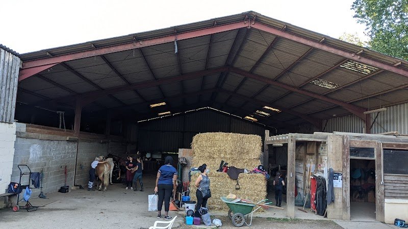 CENTRE EQUESTRE LA ROSE DES VENTS - photo 3