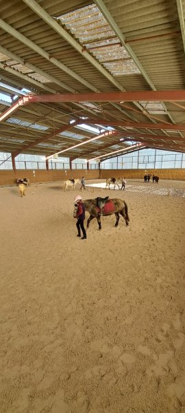 Domaine Équestre du Nivernais - photo 2