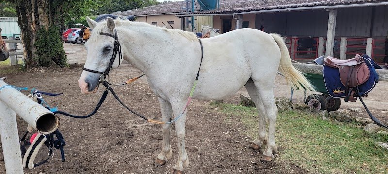 L'Agora du Cheval - photo 1