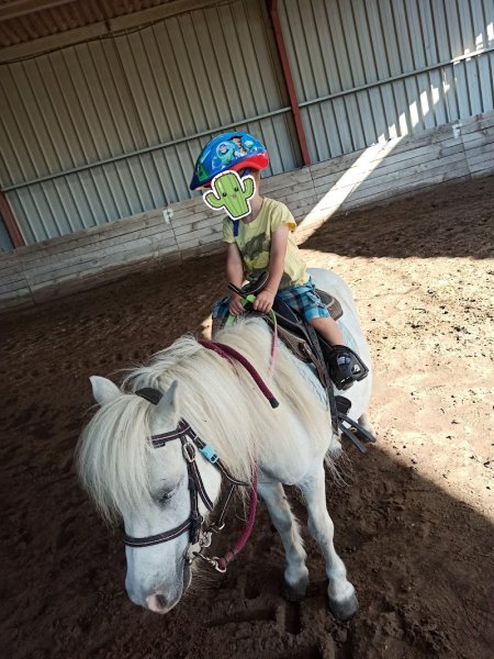 Poney Club de la Metairie de Sort