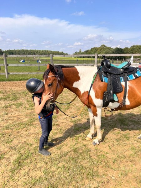 Ecurie Le Paradis des Hirondelles - photo 2