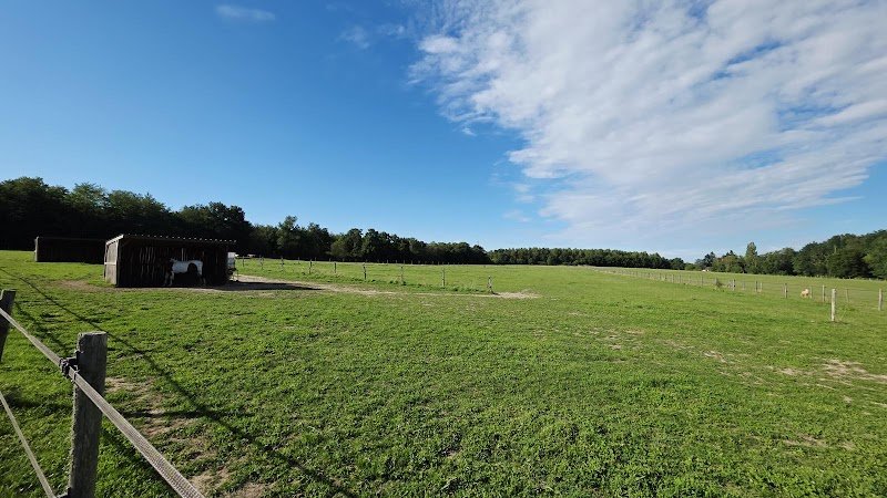 Ecurie Le Paradis des Hirondelles - photo 3