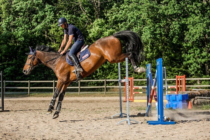 L'Ecrin du Cheval - photo 1