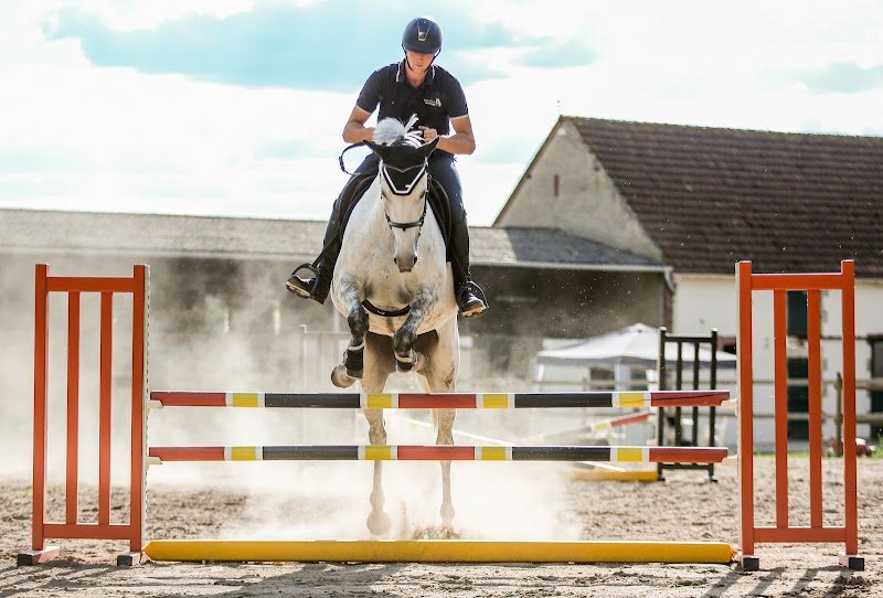 L'Ecrin du Cheval - photo 3