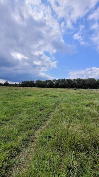 Les Écuries C&B - photo 1