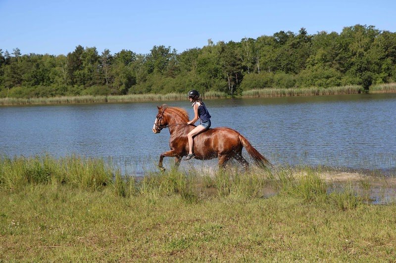 Les Écuries C&B - photo 2