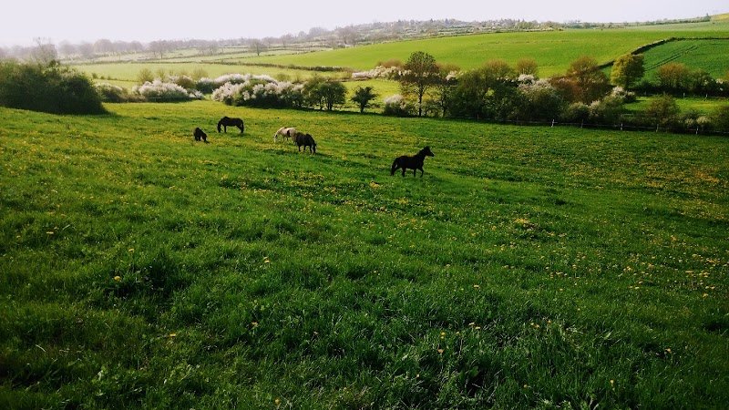 Ecurie Elevage de coux