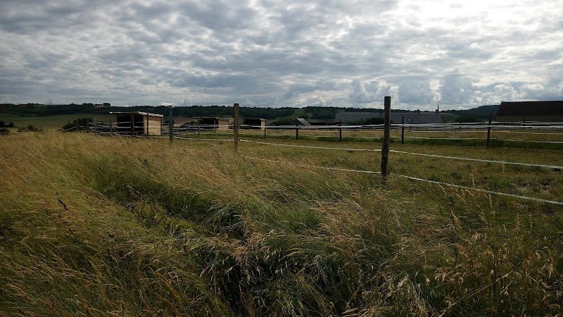 Ecurie Elevage de coux - photo 2