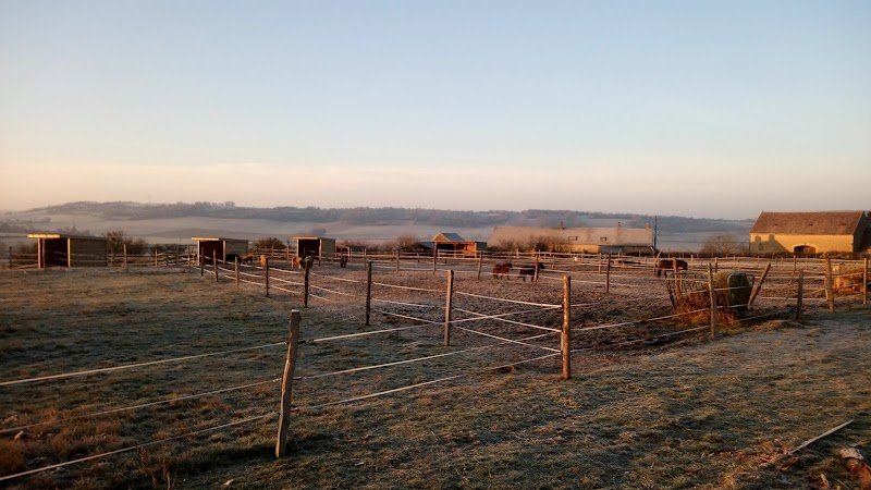 Ecurie Elevage de coux - photo 3