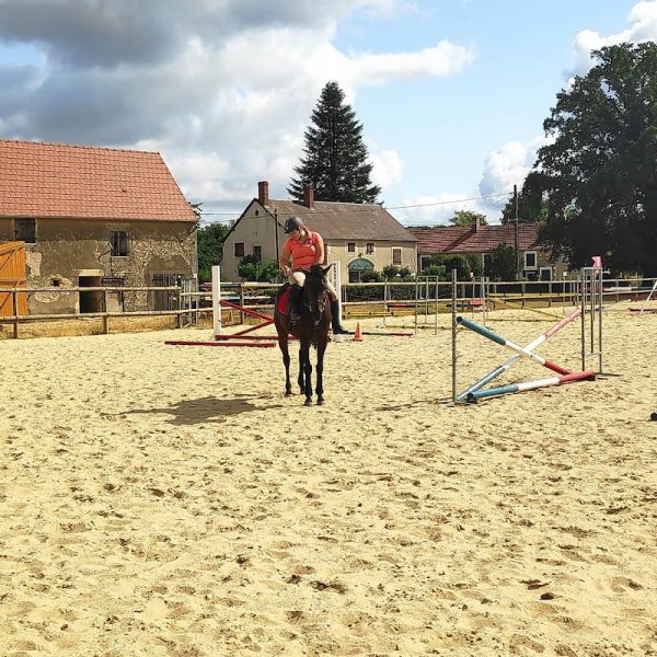 Club Hippique du Haras de Tigran - photo 1