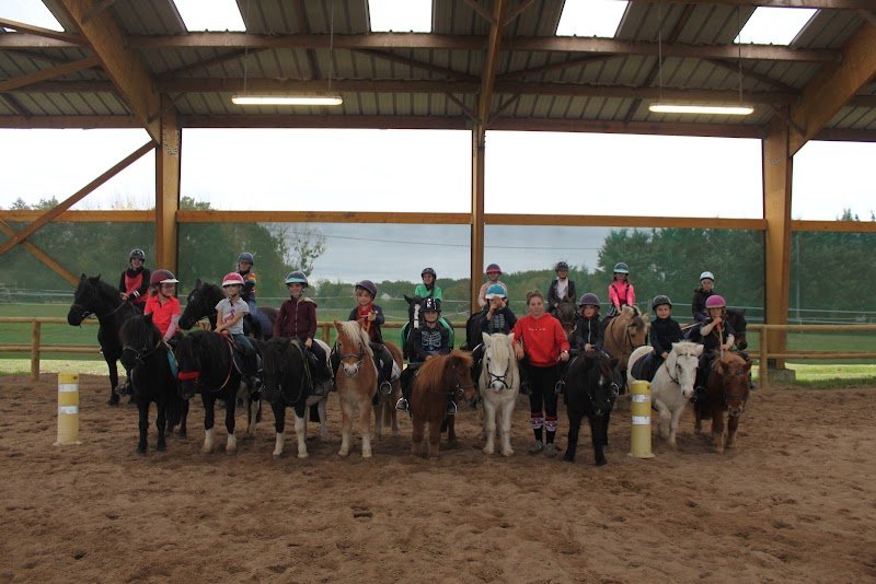 La pension du cheval - photo 1