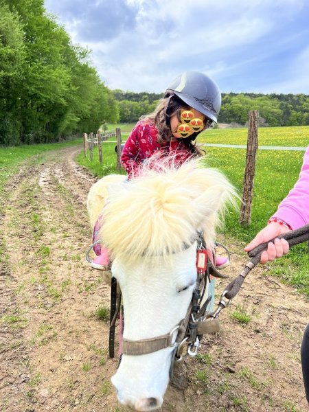 FERME EQUESTRE DE POIFOND