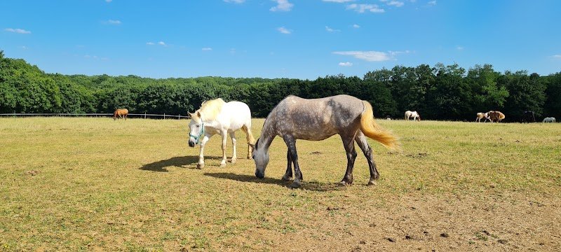 FERME EQUESTRE DE POIFOND - photo 2