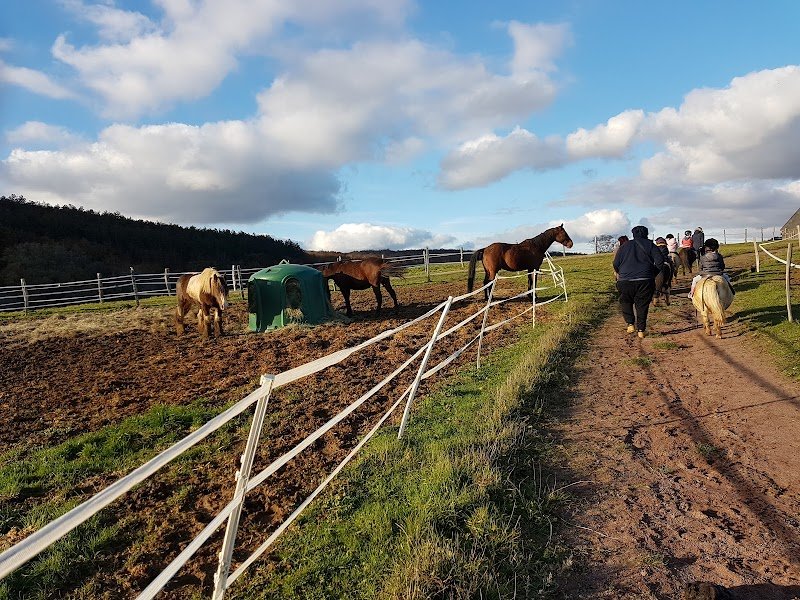FERME EQUESTRE DE POIFOND - photo 3
