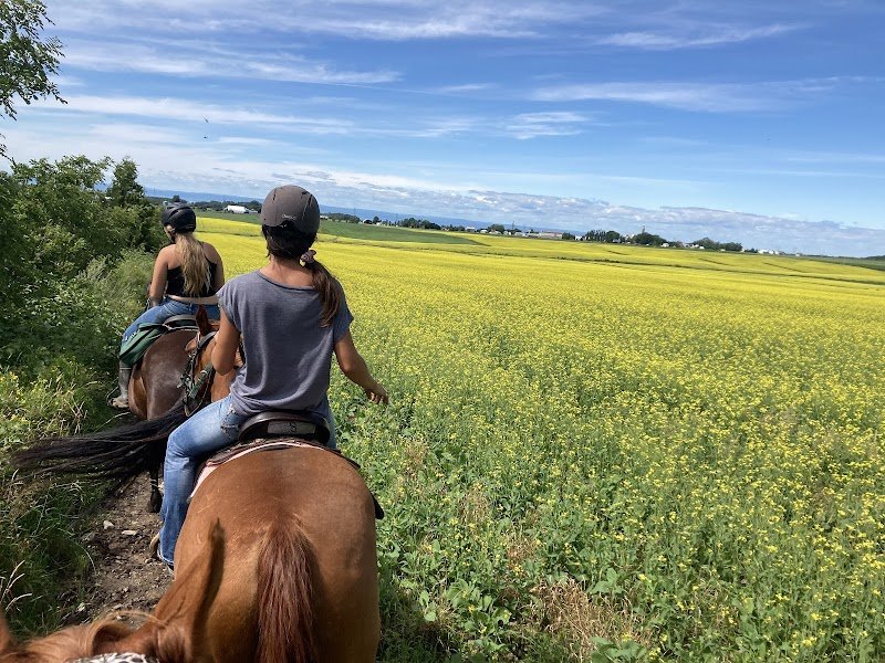 Centre Équestre Saint-Éloi