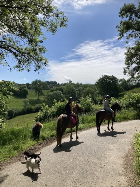 Haras au coeur des possibles - photo 3