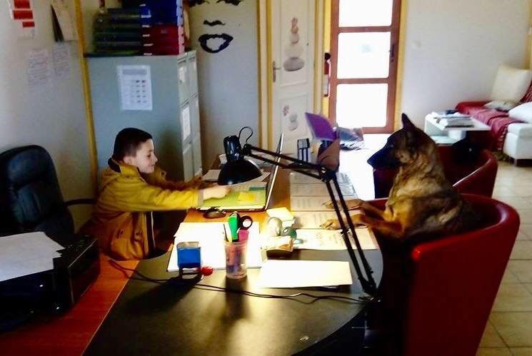 Anima-Pension pour animaux Challuy