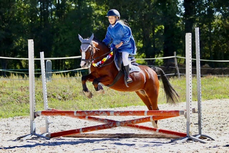 Ecurie du Rondeau - photo 2