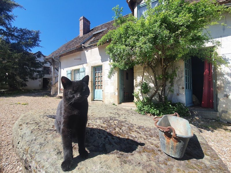Ferme Equestre et chambres d'hôtes Gateau Stables près Guédelon